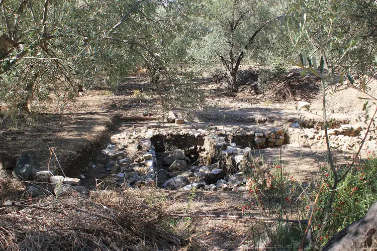 Antandros antik kenti kalıntıları, zeytinlik arasında taş bloklar