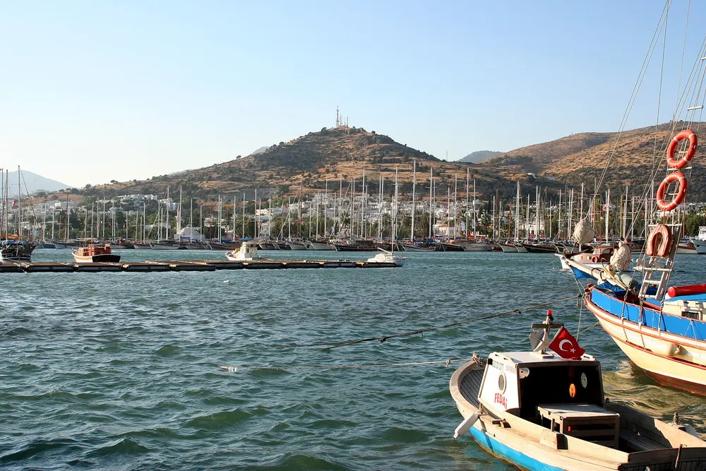 Bodrum marinasında yan yana bağlı yelkenliler, arkada tepedeki yerleşim