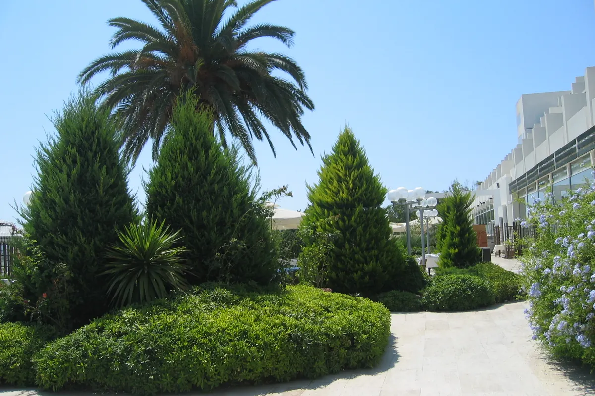 Çeşme Altınyunus koyunda palmiye ağaçları ve düzenli peyzaj