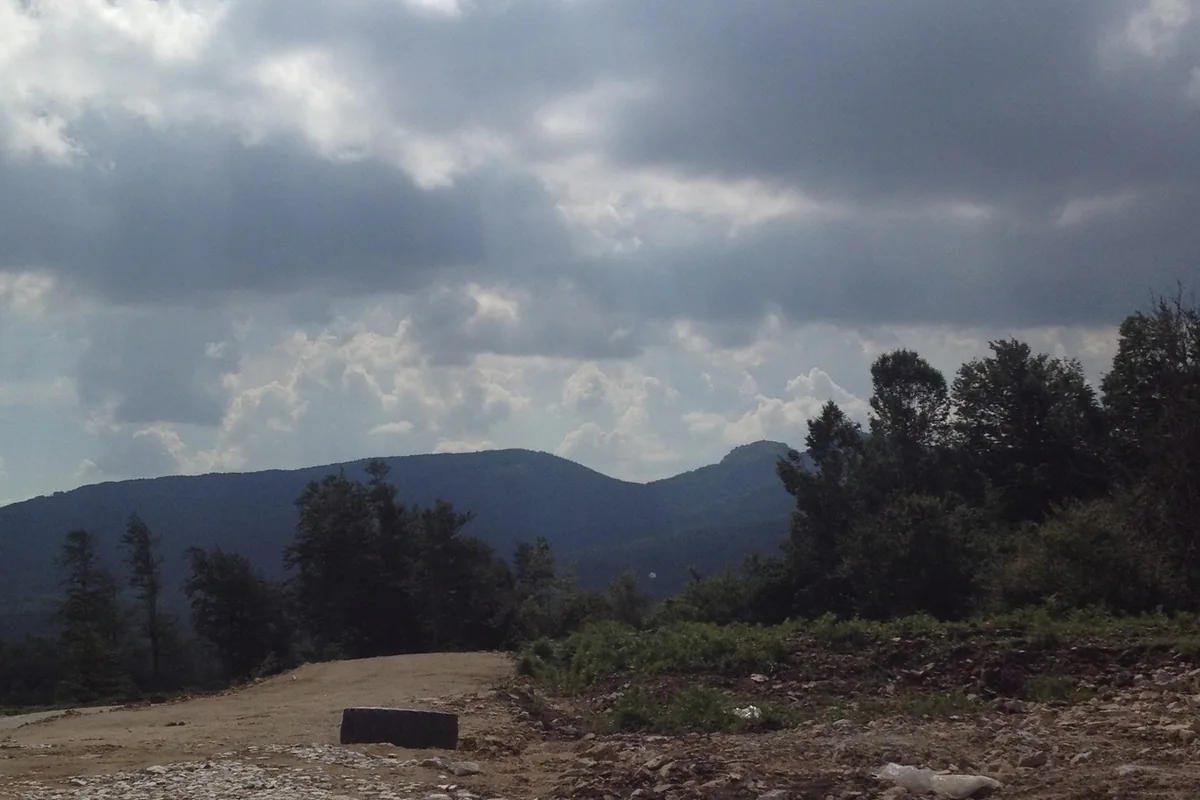 Yeşildağ mahallesinde toprak yayla yolu, çam ağaçları ve arka planda dağ silüeti