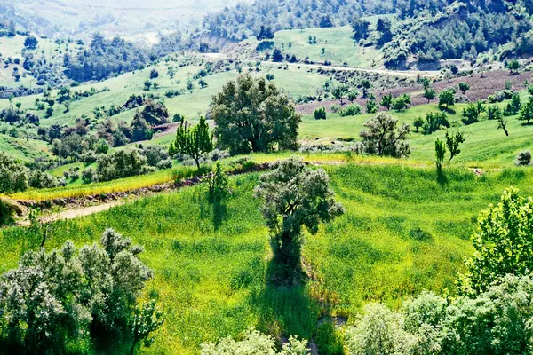 Bozdağlar'ın yamaçlarında teraslanmış tahıl tarlaları