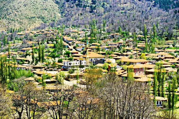 Bozdağ yerleşimi ve çevresindeki kavaklıklar
