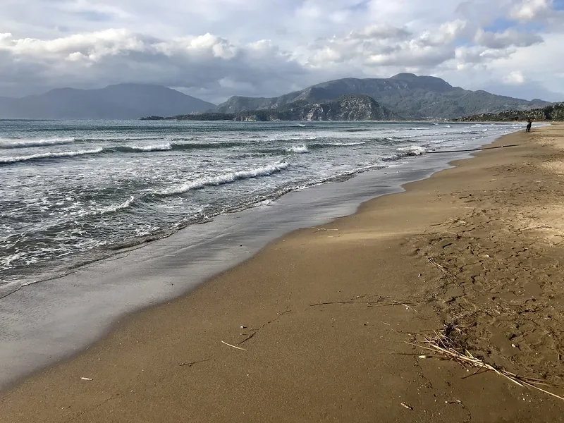İztuzu Plajı; caretta caretta yuvalama alanı
