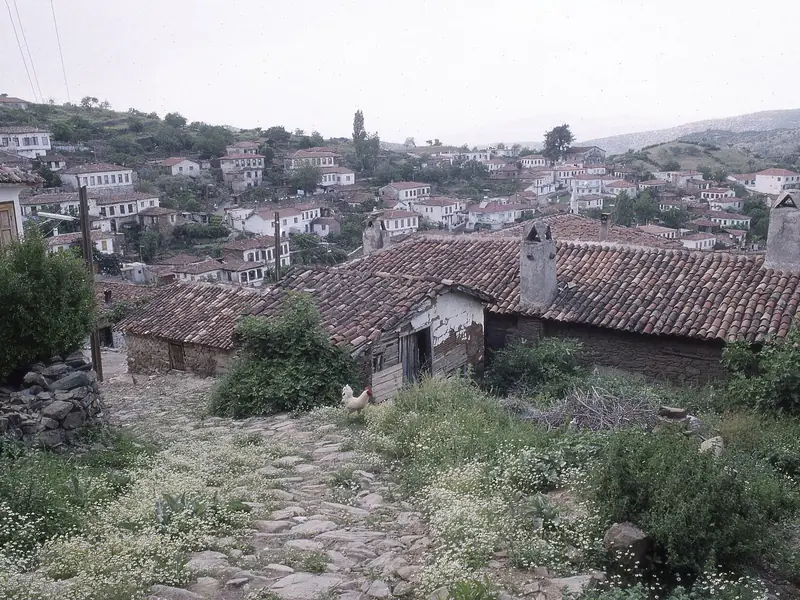 Tire'de yamaca yerleşmiş tarihi evler ve kiremit çatılar