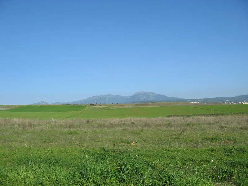 Torbalı ovası ve arkasındaki dağ sırası
