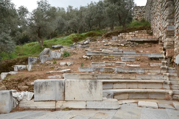 Metropolis Antik Kenti'nde bouleuterion basamakları