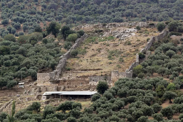 Metropolis'in kurulu olduğu tepe ve zeytinlikler
