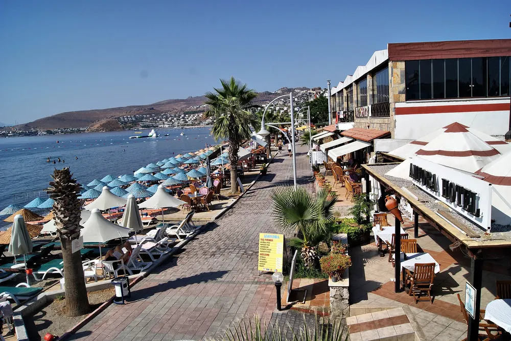 Yahşi sahil şeridinde palmiyeli yürüyüş yolu, restoranlar ve şezlonglar