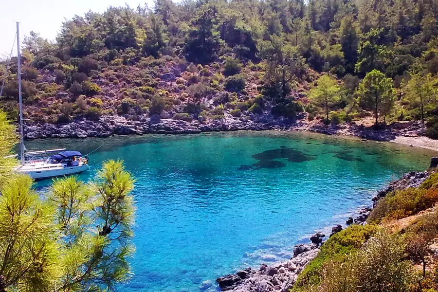 Kisse Bükü'nde çam ormanının denize indiği bir koy, Yalıçiftlik'in doğa rotasına benzer